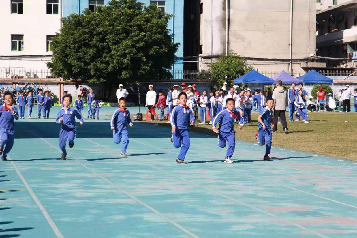 龙岗育贤小学图片