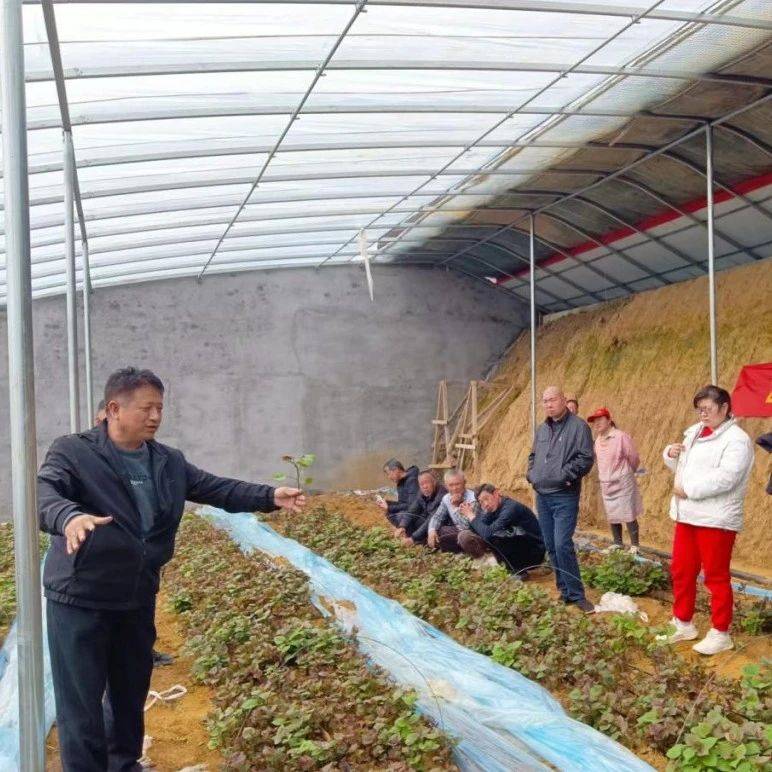 精准帮扶！让助残更有温度