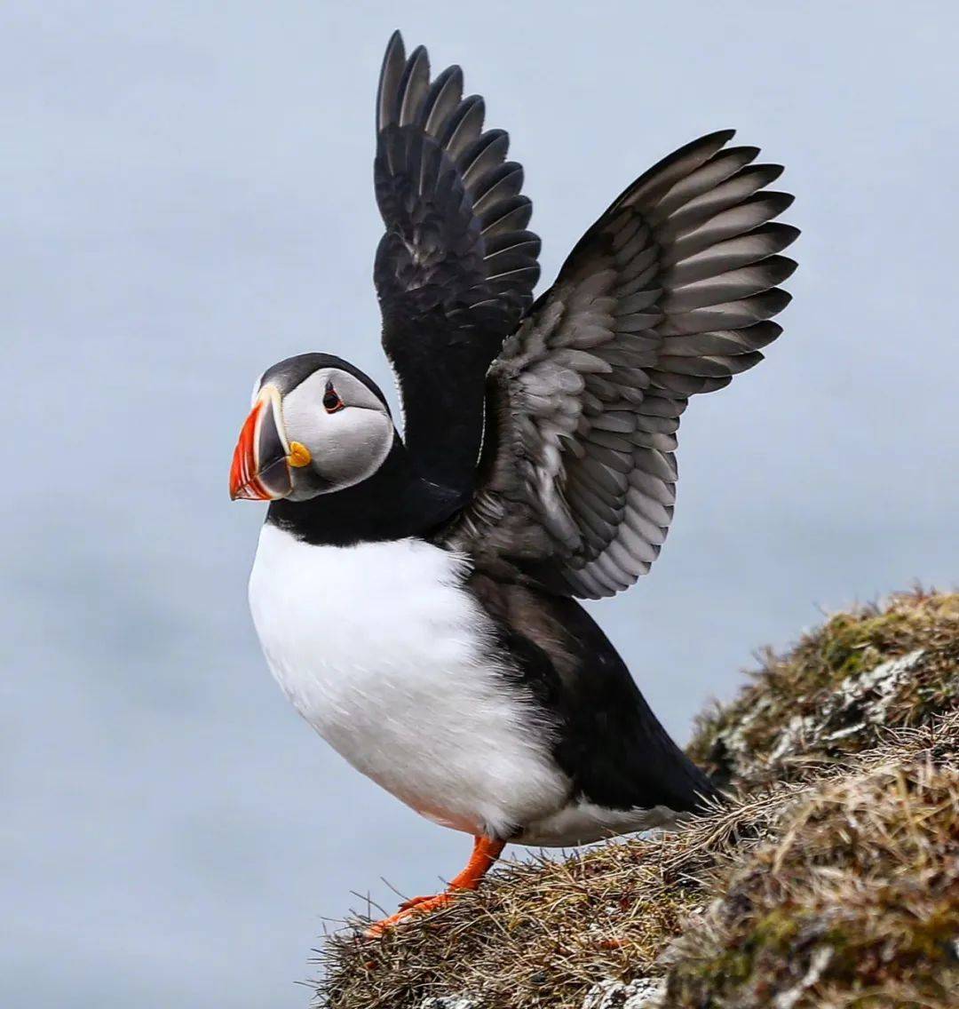 图片[26]-一路向北，载你看遍挪威西海岸风光 -华闻时空