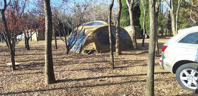 烟大附近树林里又有人私搭帐篷 园林：已通知限期搬离