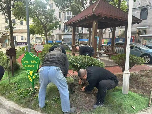 嗲房龄近30年的静安老小区焕新为“花园小区”→凤凰联盟入口(图6)
