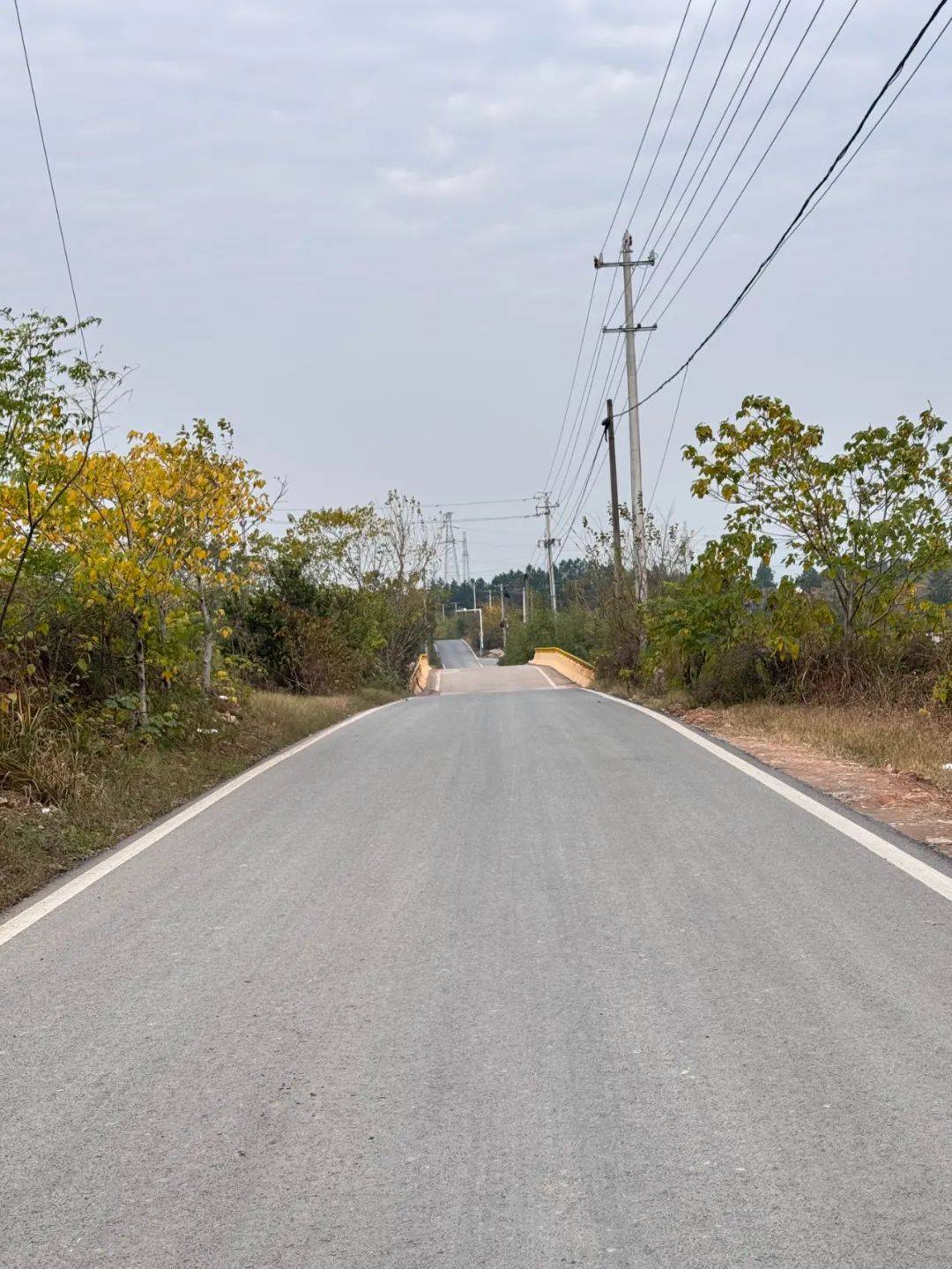 荣昌区盘龙镇绕镇公路图片