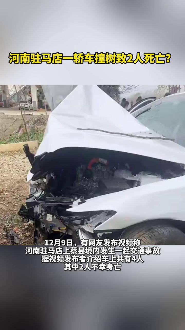 河南驻马店一轿车撞树致2人死亡?官方回应