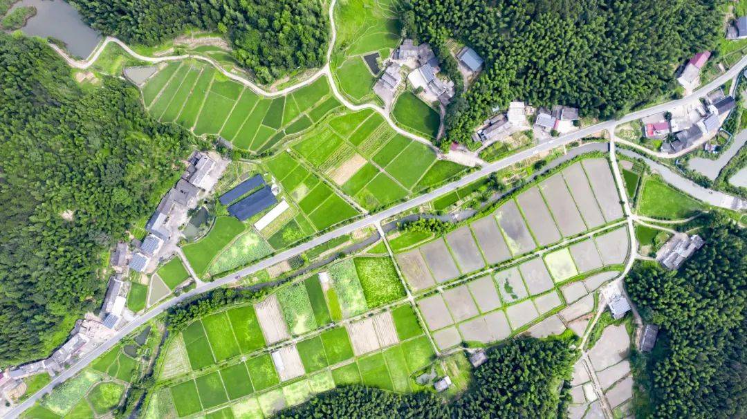 长寿之乡江西铜鼓石桥村:生态美,文旅兴,魅力足!