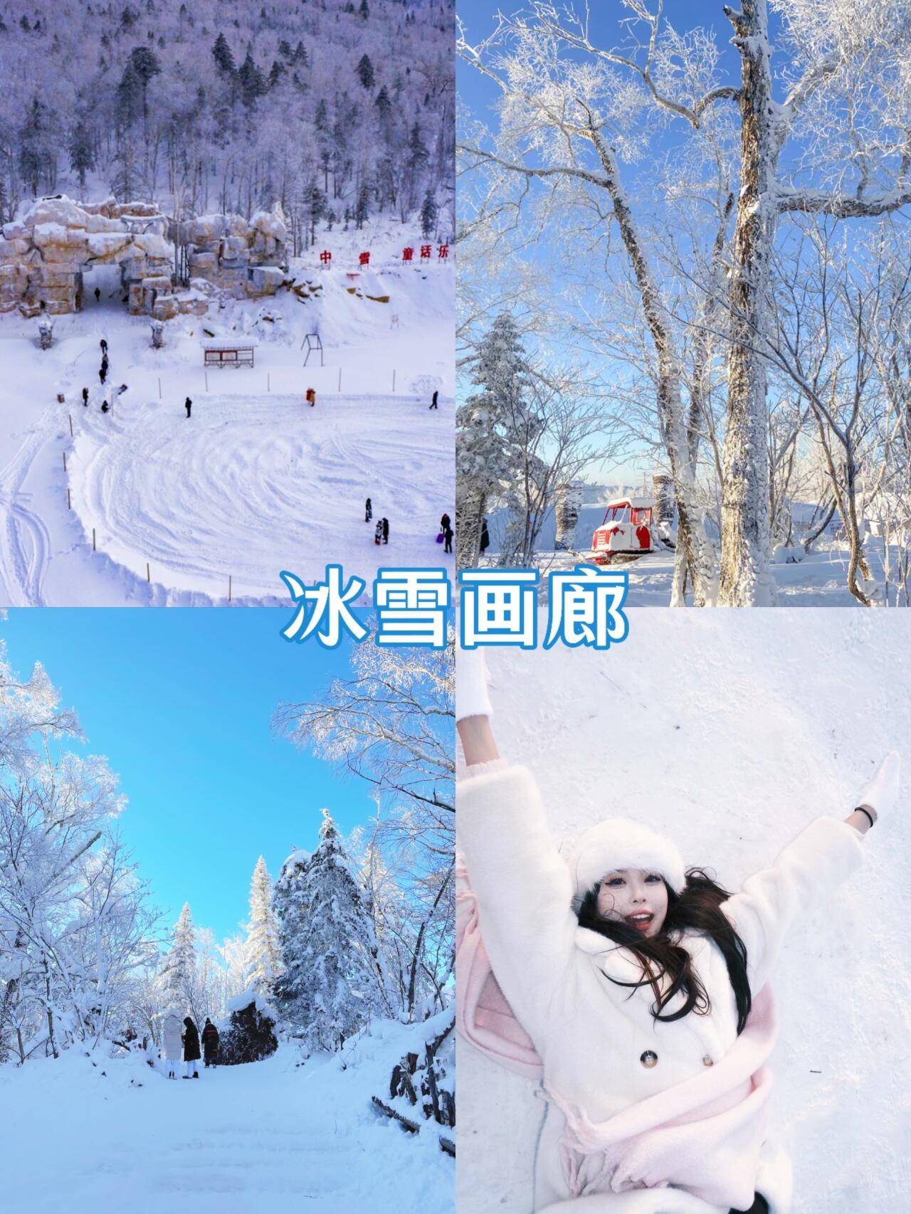 冰雪画廊门票图片