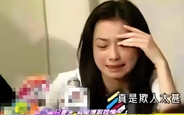 面对舆论的压力,张庭开了记者会,在会上哭得稀里哗啦的;照片一上网,"