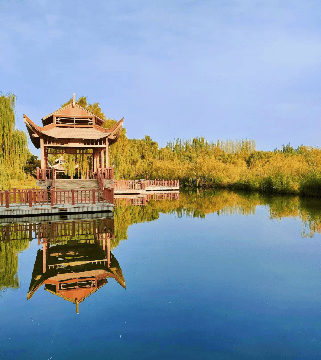 梧桐生态公园距离泽普县城30公里,被评为国家aaa级旅游景区