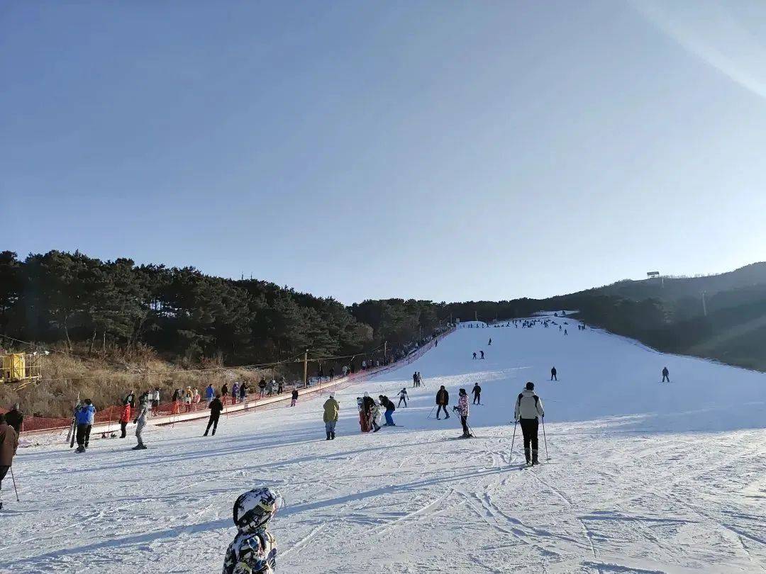 鞍山二一九公园滑雪图片