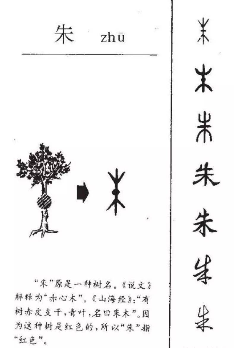 朱的演变,朱的意思,朱的写法,朱的谜语!您懂吗?