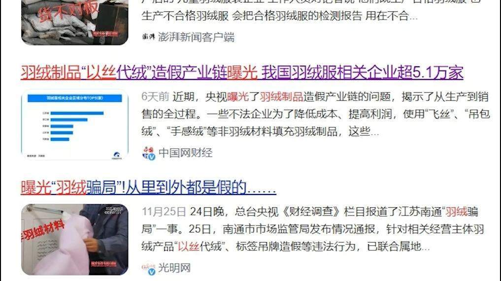 图片[2]-羽绒服“假绒”乱象调查：“羽丝”“绒丝”到底是什么？ -华闻时空