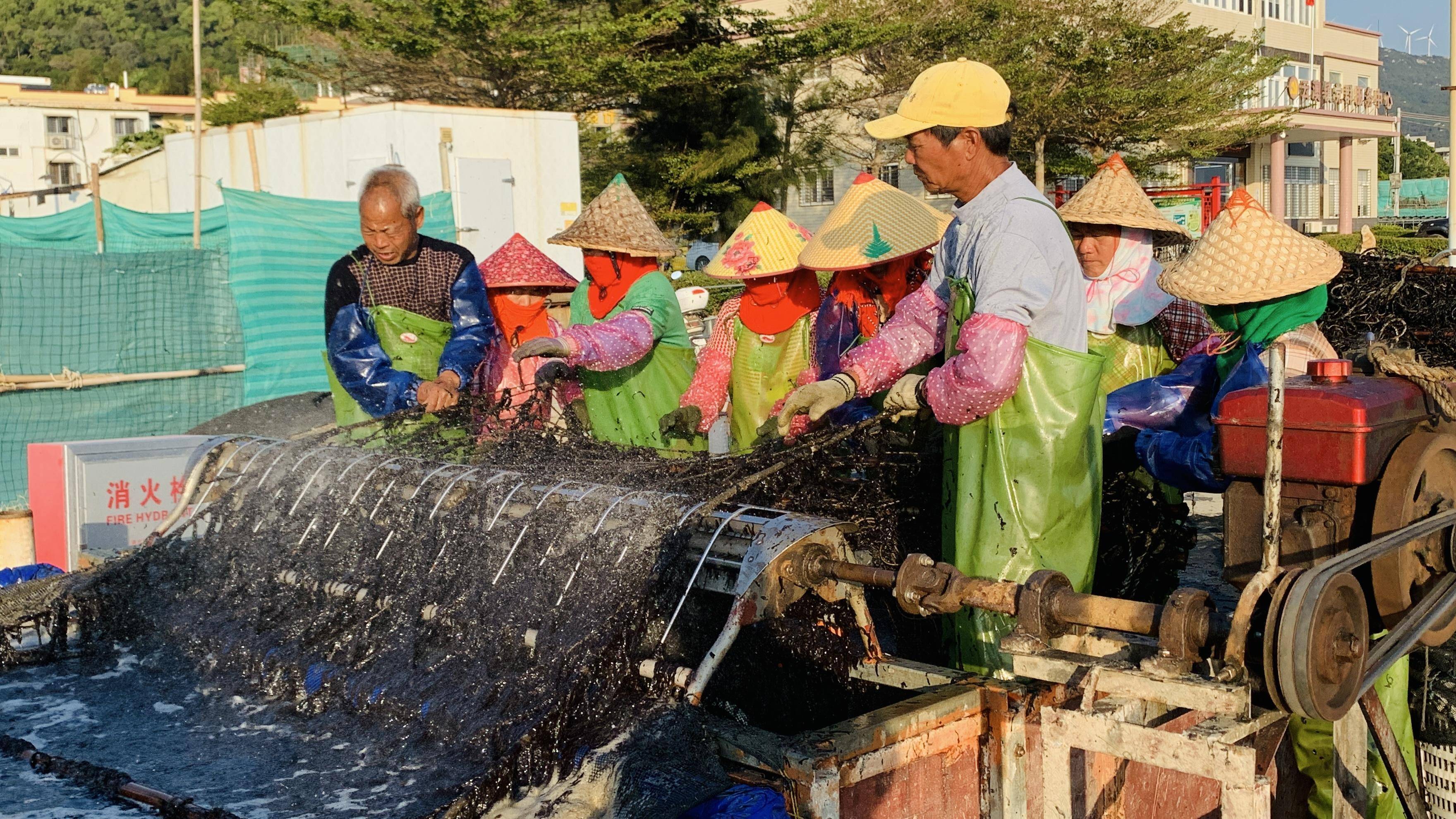 大海水收执位图片