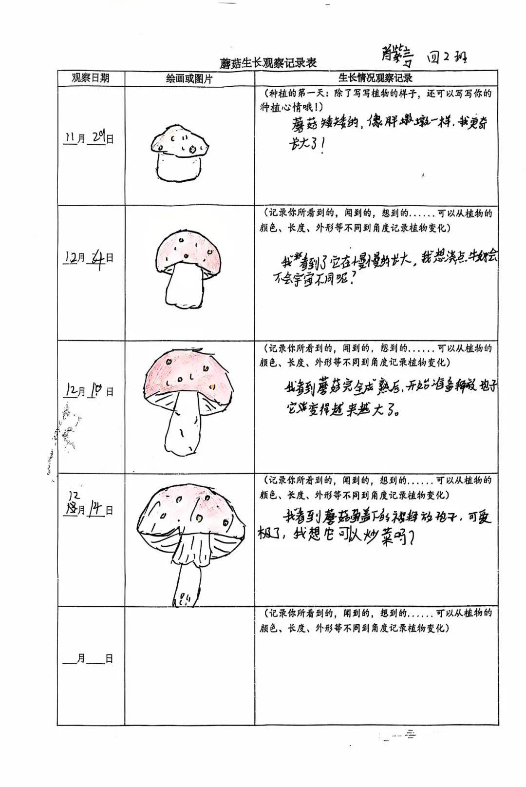 孩子们悉心观察着烹饪的每一步步骤,用文字细腻地勾勒出食材的鲜亮