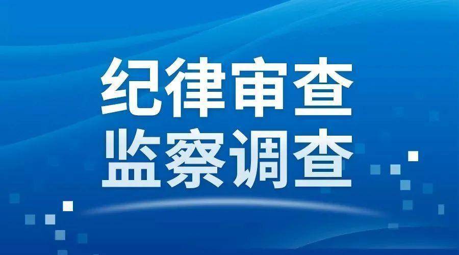 黑龍江訥河市自然資源局黨組書記、局長隋志東被查