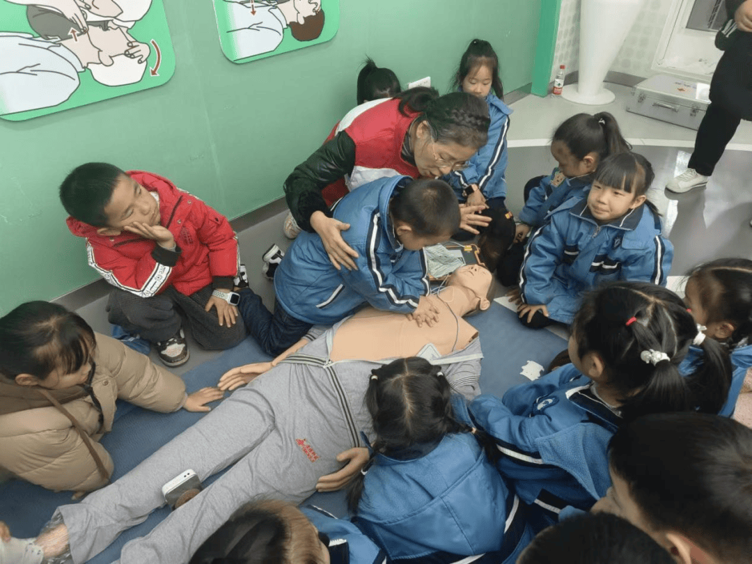 红星实验小学探索健康奥秘之旅红星实验小学一2班闪闪