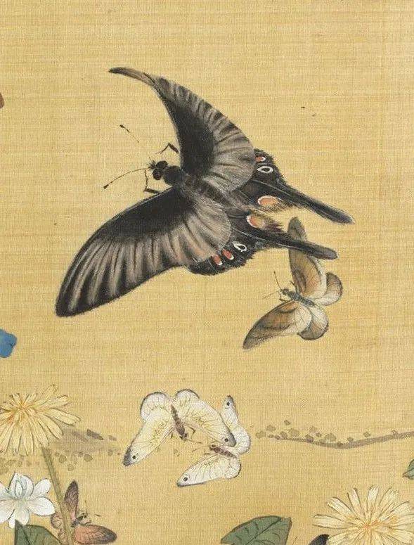 《百蝶图》——千姿百态的蝴蝶仙子