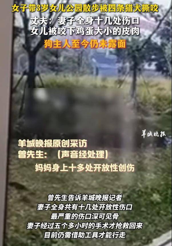 熱聞|母女公園散步遭四條大型犬撕咬！家屬：狗主人以沒錢為由，至今未露面，治療費用也未償清