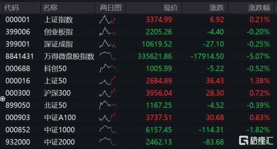 A股多家公司被立案调查，微盘股遭“暴击 ”！万得微盘股指数重挫5%