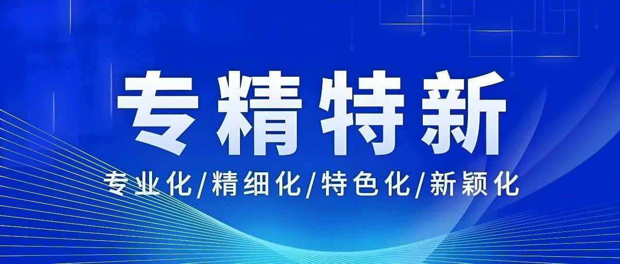 解读 2025 年国家专精特新企业认定新评价指标,探寻企业发展新路径_情况_三级_行业