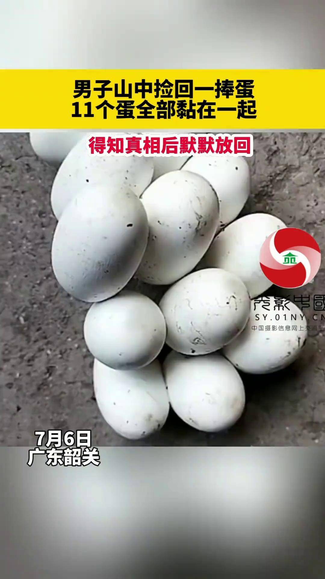 你见过蛇蛋吗?蛇蛋光影中国 01