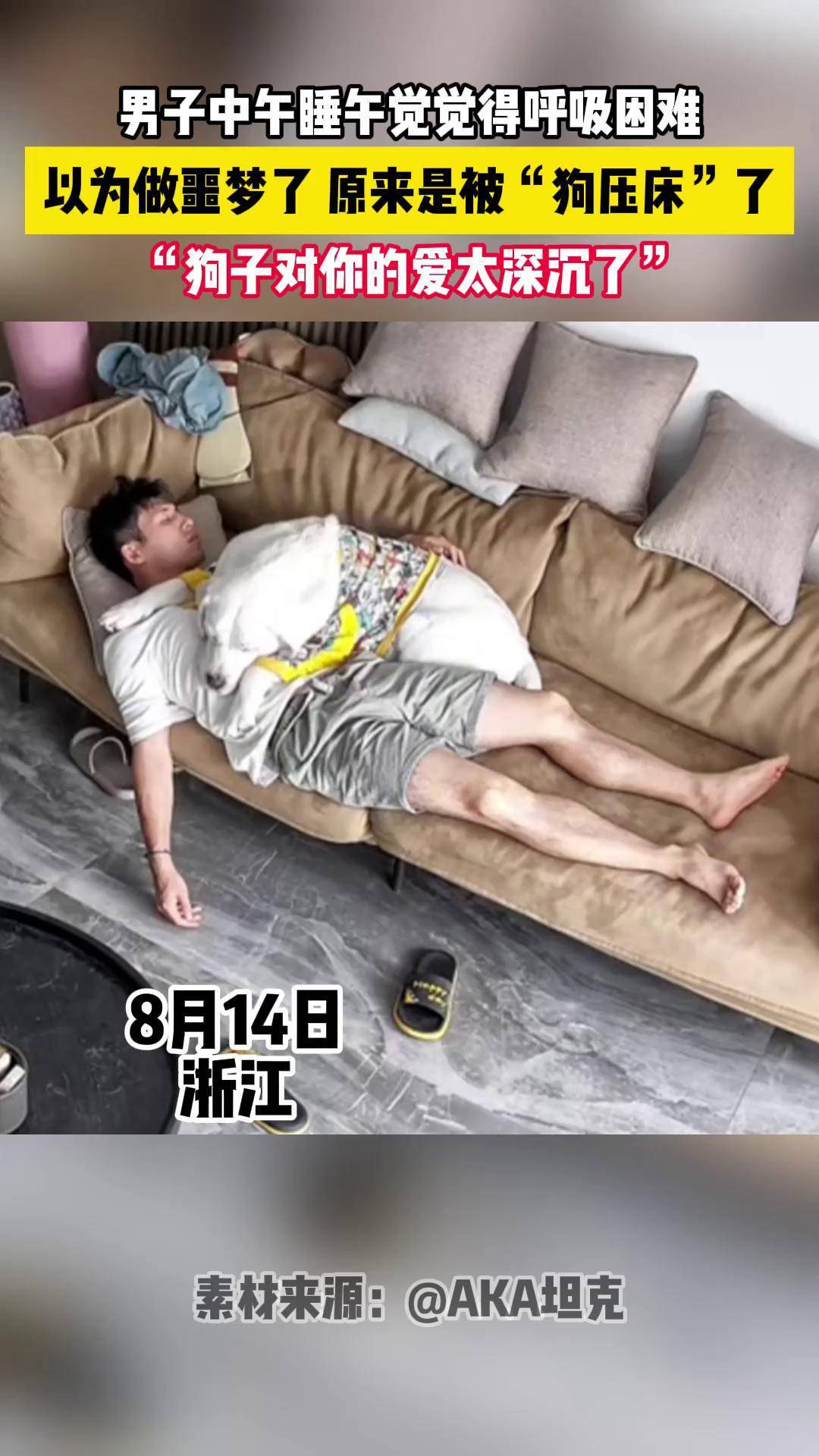 男子中午睡午觉觉得呼吸困难狗压床 睡午觉 大型犬