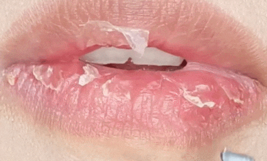 嘴巴_嘴唇_口红