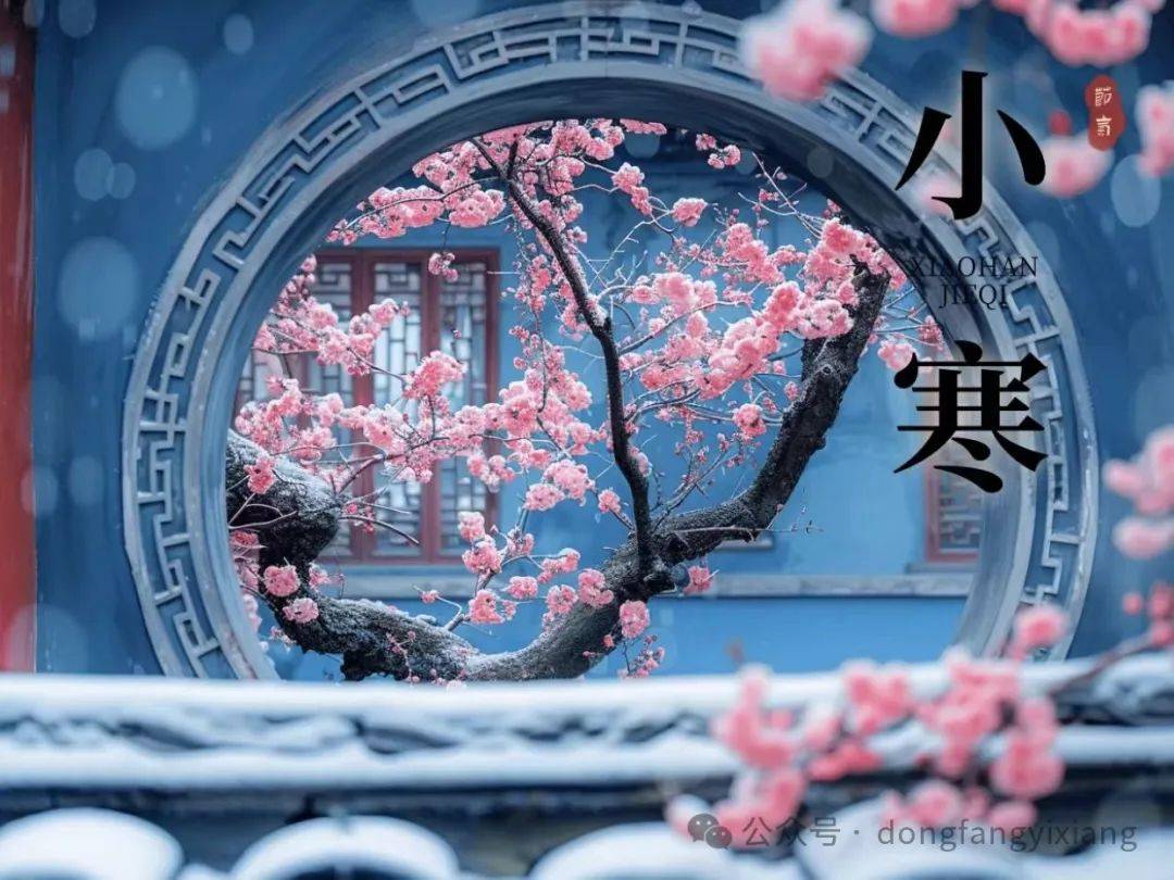 小寒节气十二生肖运势(小寒的生肖)