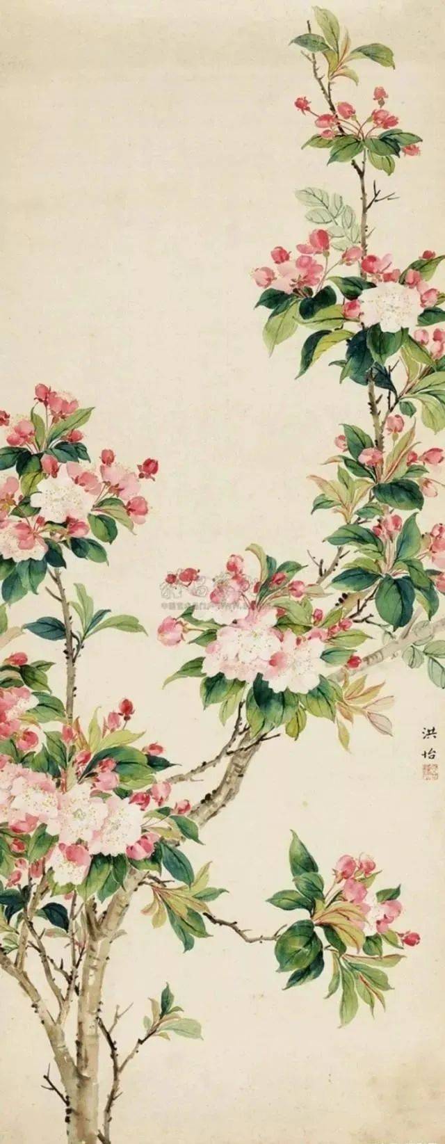 洪怡作品欣赏上面是洪怡的一幅《海棠双禽图》,作品既有工笔的细腻,又