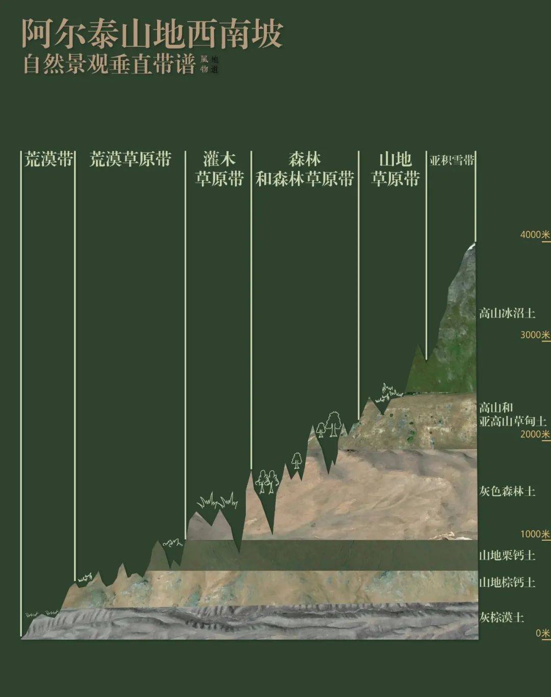 乞力马扎罗山垂直带谱图片