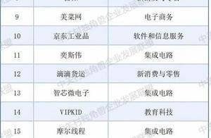 115家！《北京市独角兽企业名单（2024）》发布