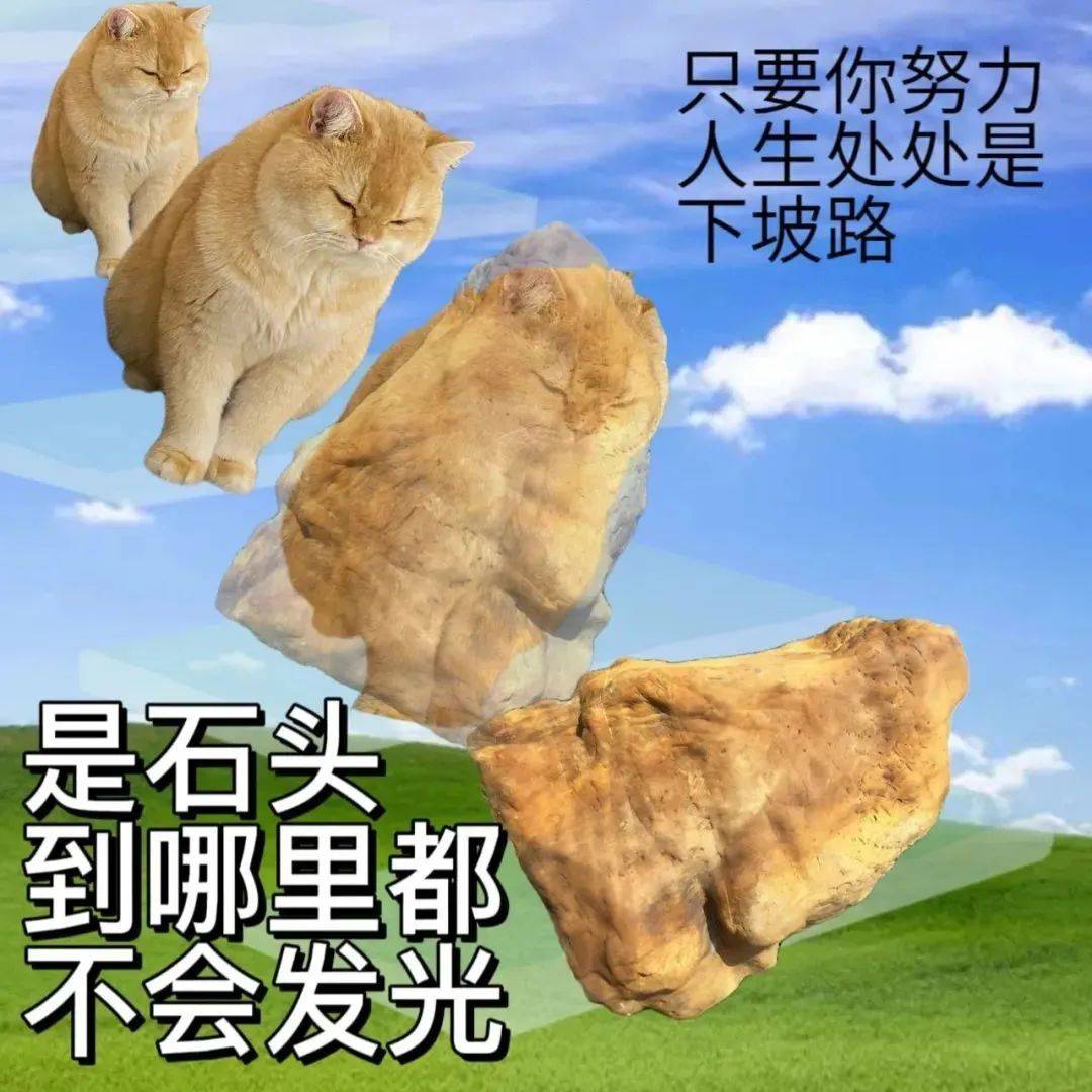 "你都没有胸凶什么凶" ๑宝藏表情包 ง