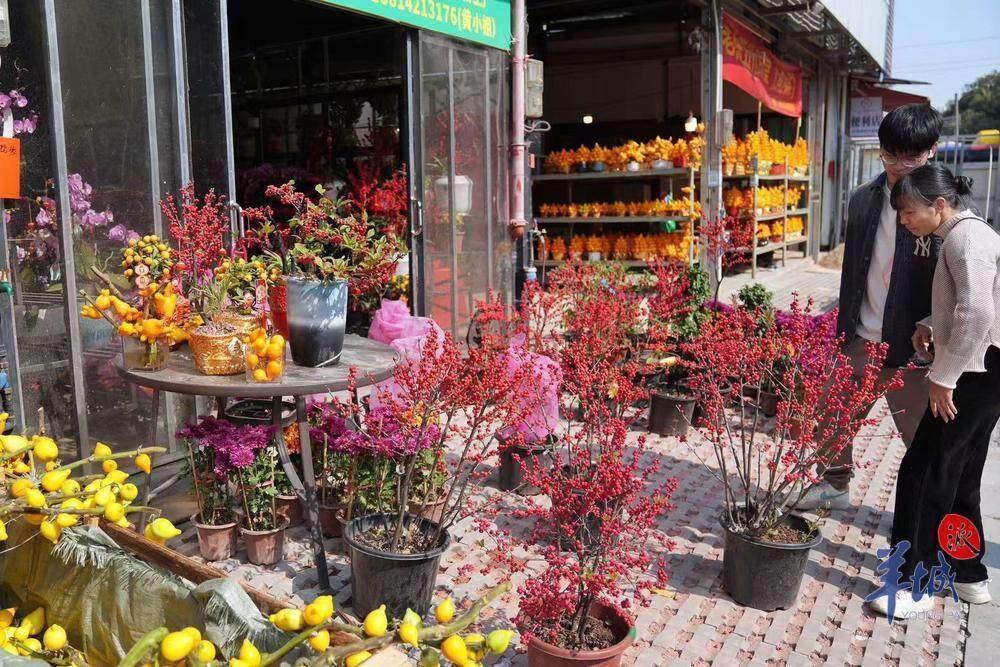 果博平台广州荔湾开启水陆花市盛宴“双花篮”将亮相传统迎春花市｜聚“荔”新发展⑮(图10)