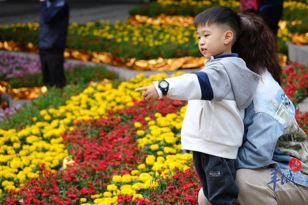 果博平台广州荔湾开启水陆花市盛宴“双花篮”将亮相传统迎春花市｜聚“荔”新发展⑮(图7)