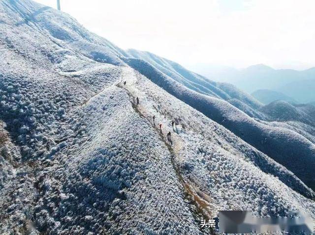 云冰山2025年首场雾凇!一脚跨两省南方雪乡云冰山赏冰挂/观云海~_景区_梦幻_冰雪