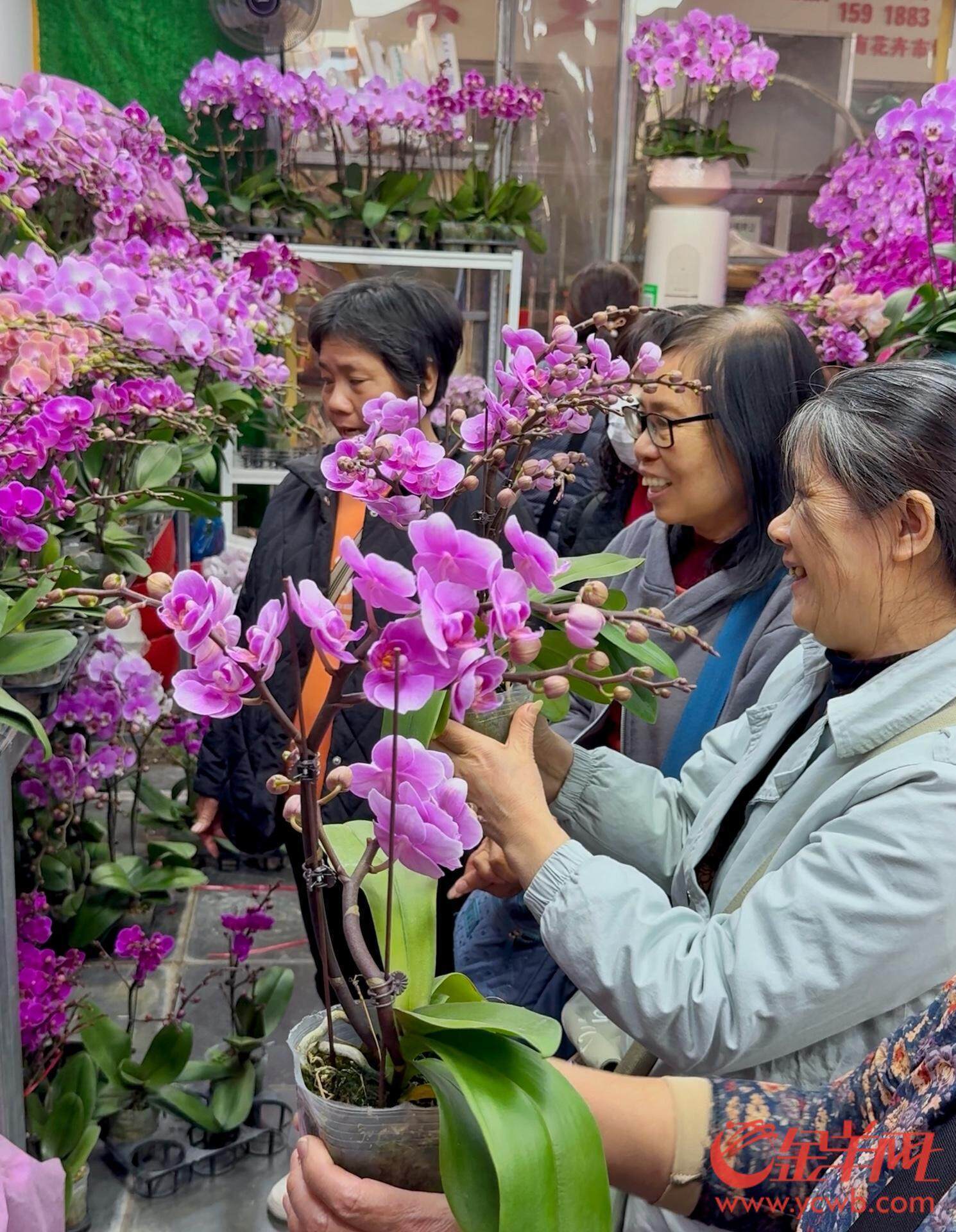 广州花卉市场砸花图片