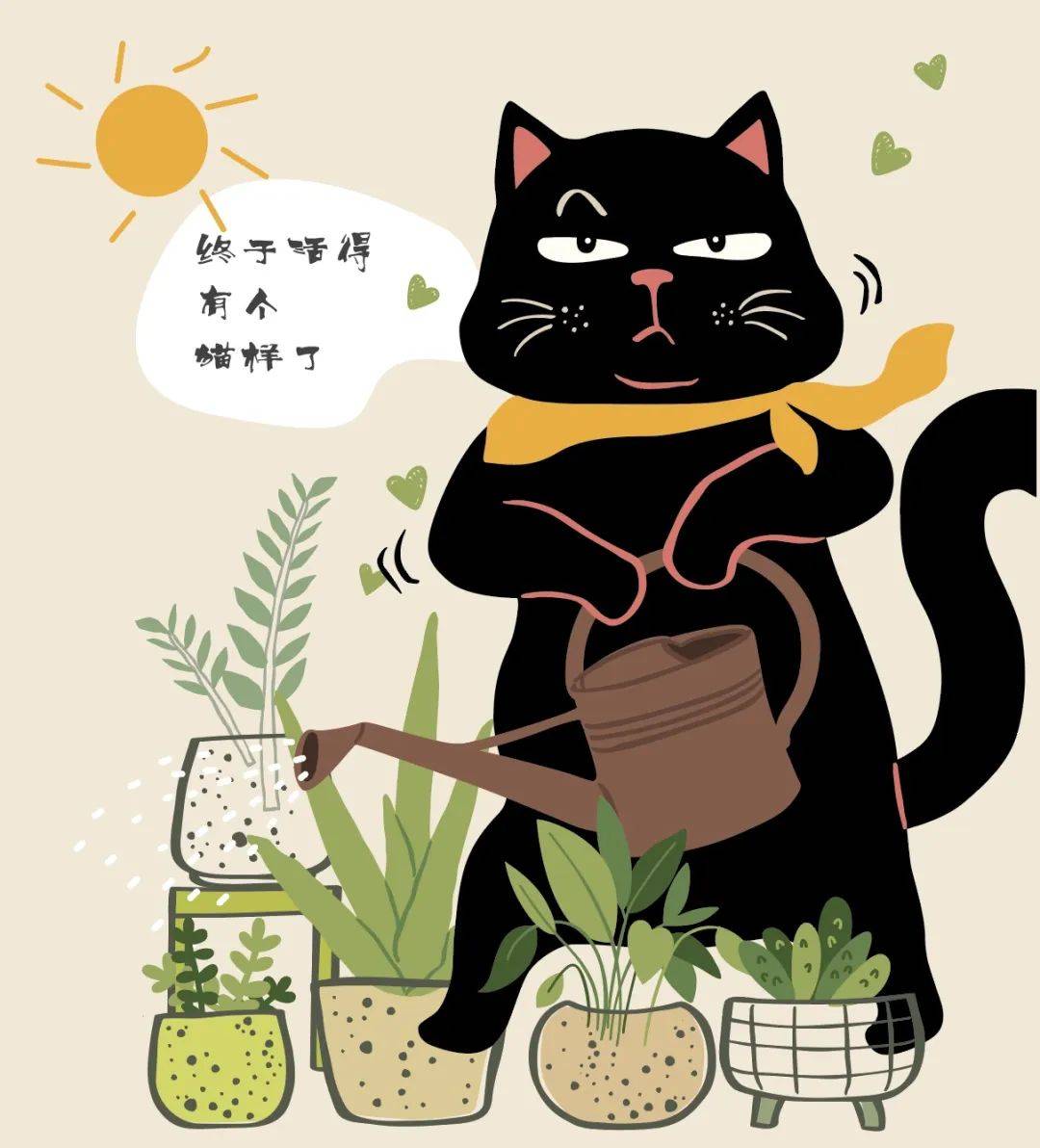 禁养35年后,新加坡决定对猫高抬贵手 禁养35年后,新加坡决定对猫高抬贵手