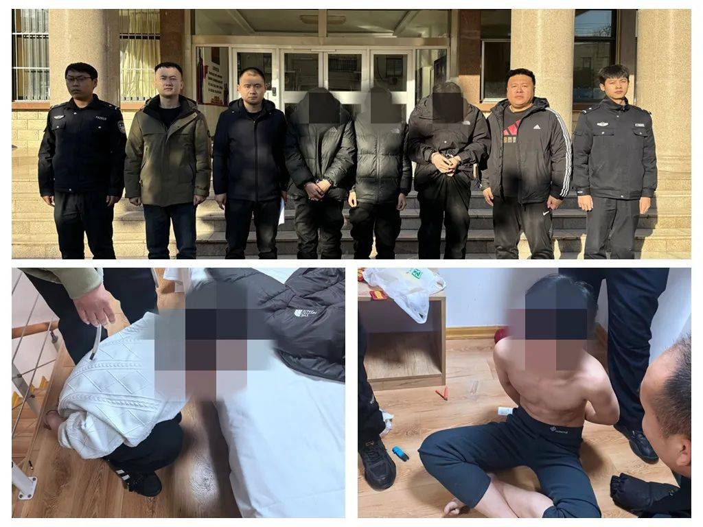 朝发夕破，平邑警方24小时破获黄金被盗等系列盗窃案_搜狐网