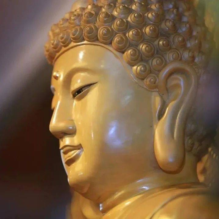 佛教知识|“居士”是什么意思?居士的本份是什么?_三宝_世间_比丘
