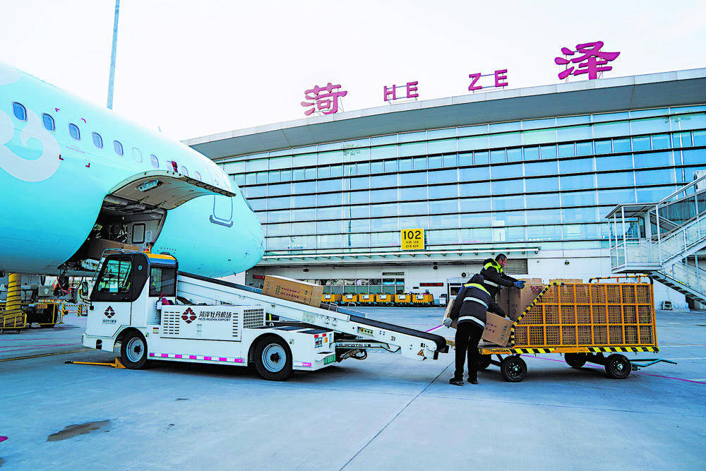 图片[8]-春节遇上“国色天香” 看看年宵花里的“中式美学” -华闻时空