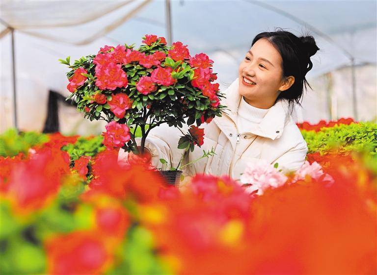 6686体育下载繁花迎春中经视觉市民(图1)