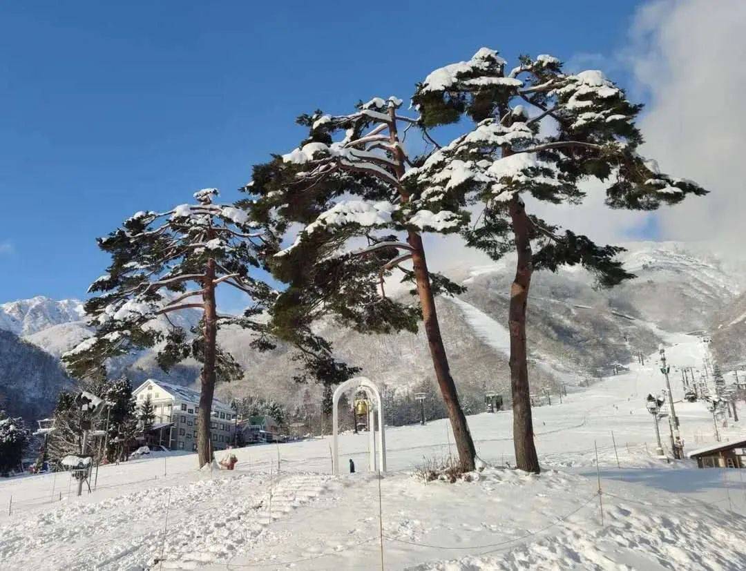 图片[6]-30岁放弃高薪，我在雪山村庄做“吉祥物” -华闻时空