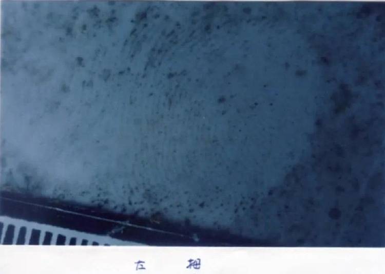 城建局局长家中遇害，警方追凶29年，一枚指纹锁定嫌疑人