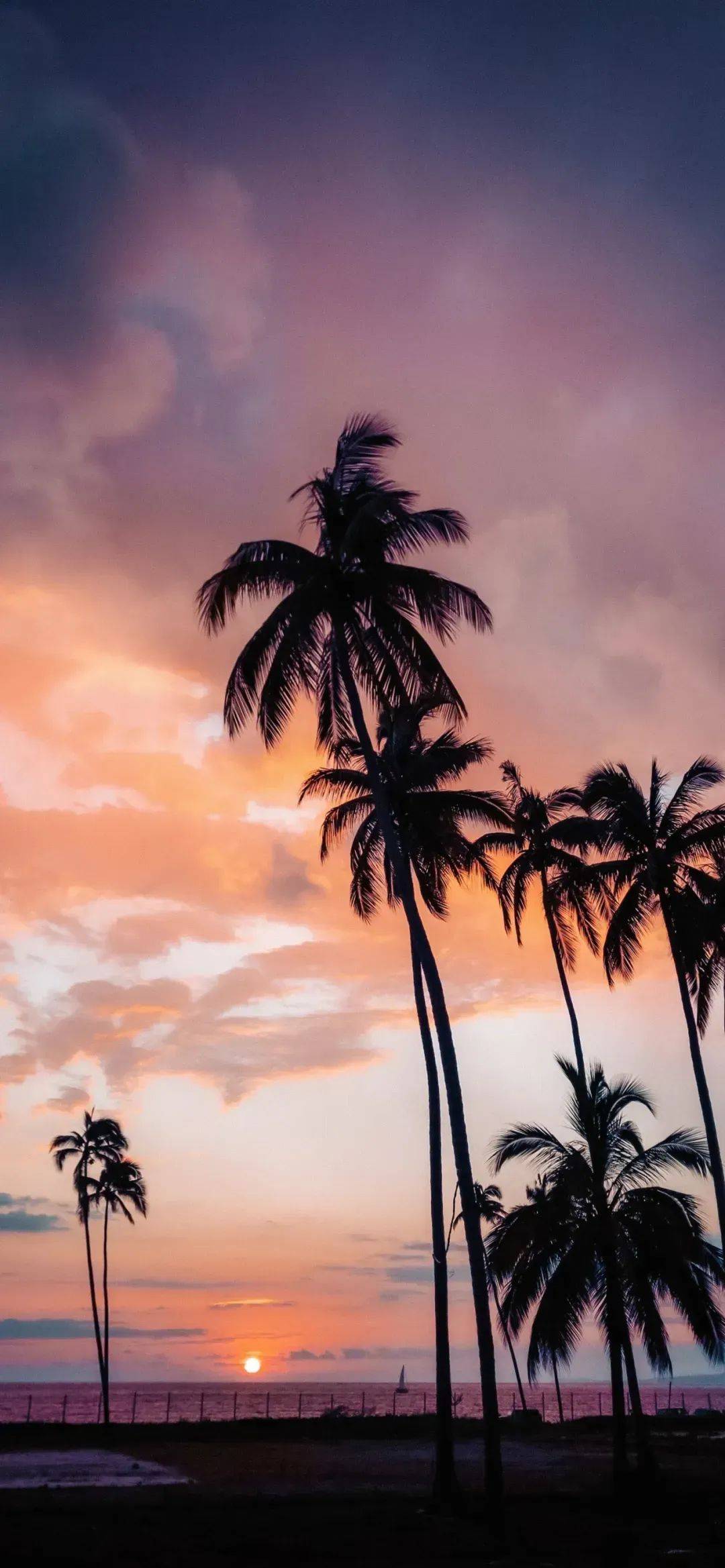 1080_2337竖版 竖屏gif 动态图 动图