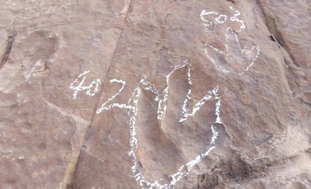 距今1亿多年的脚印！四川西昌泸山附近发现44个恐龙足迹化石，可能属于兽脚类恐龙