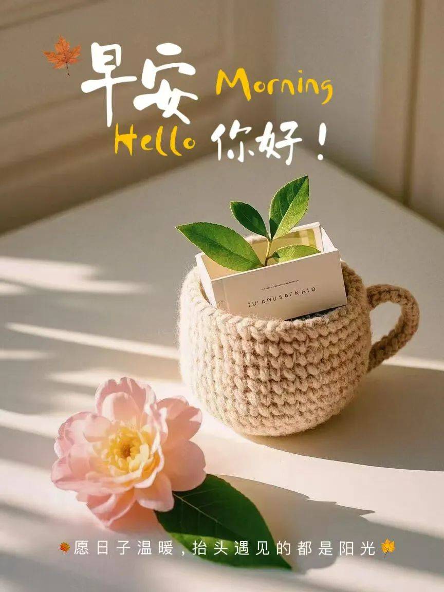 今天最新早上好祝福语文案