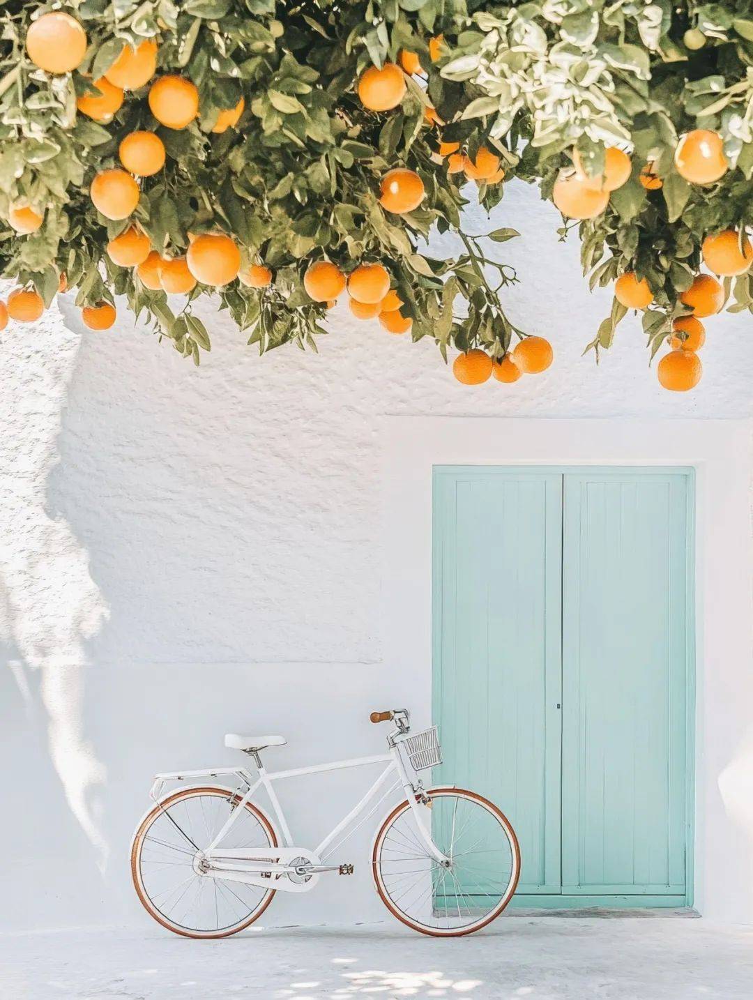 微信红包封面汇总