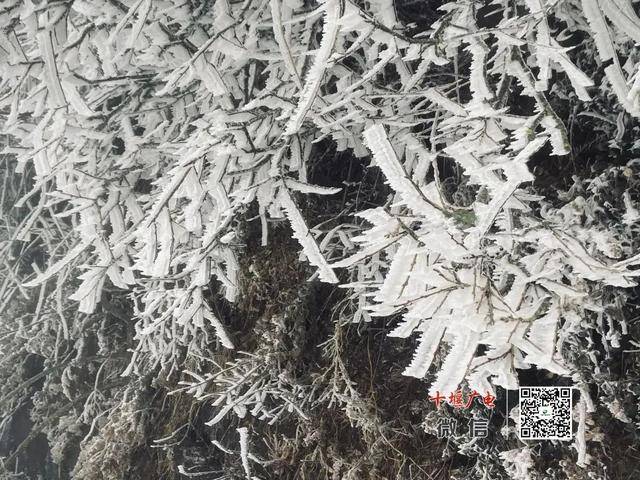 刚刚，湖北下雪了！武汉春节天气正式发布