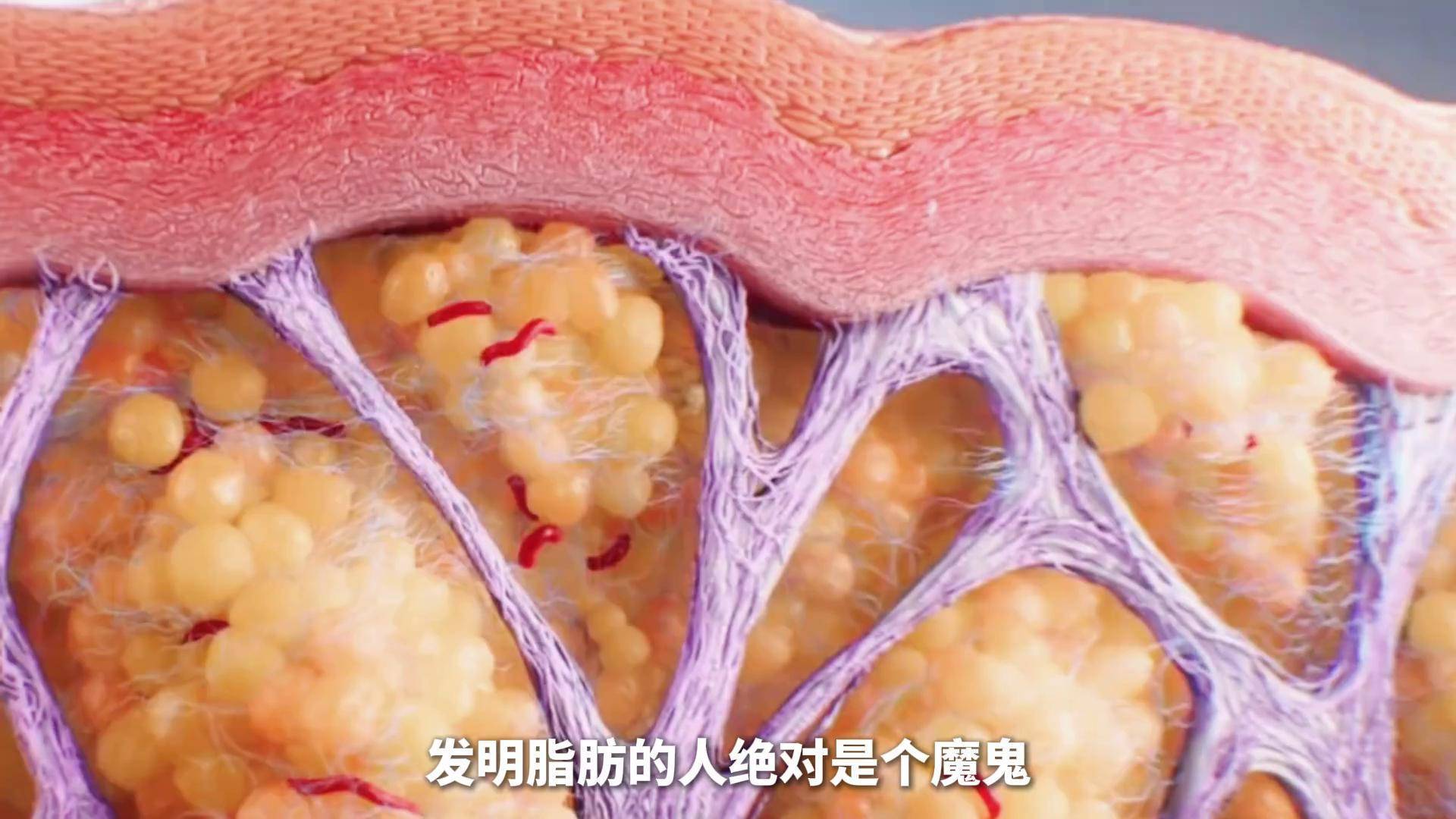 脂肪大量排出的表现(吃什么代谢快又容易瘦)