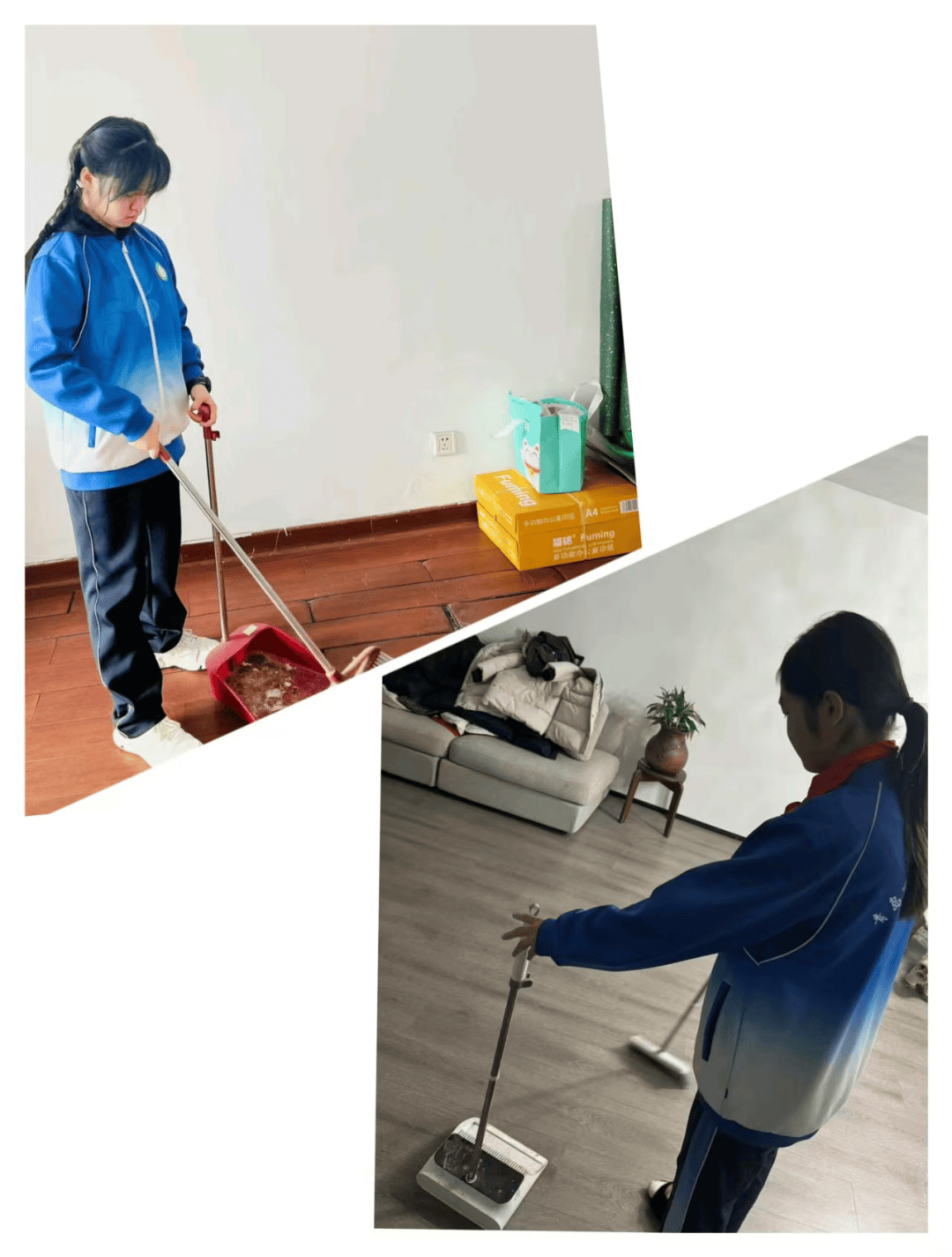 包含九年级劳动能力训练（实践/生活）的词条