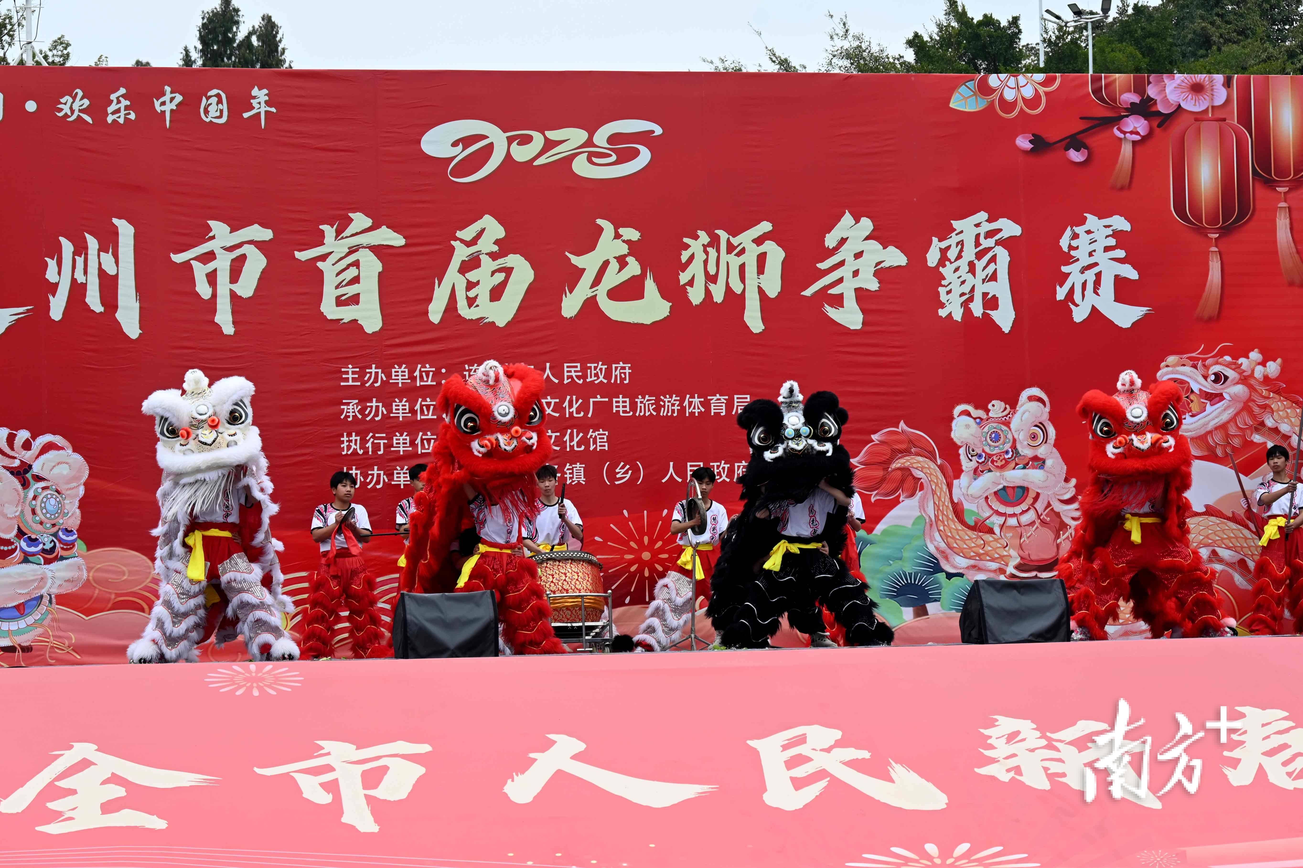 视频直击龙腾狮跃贺新春