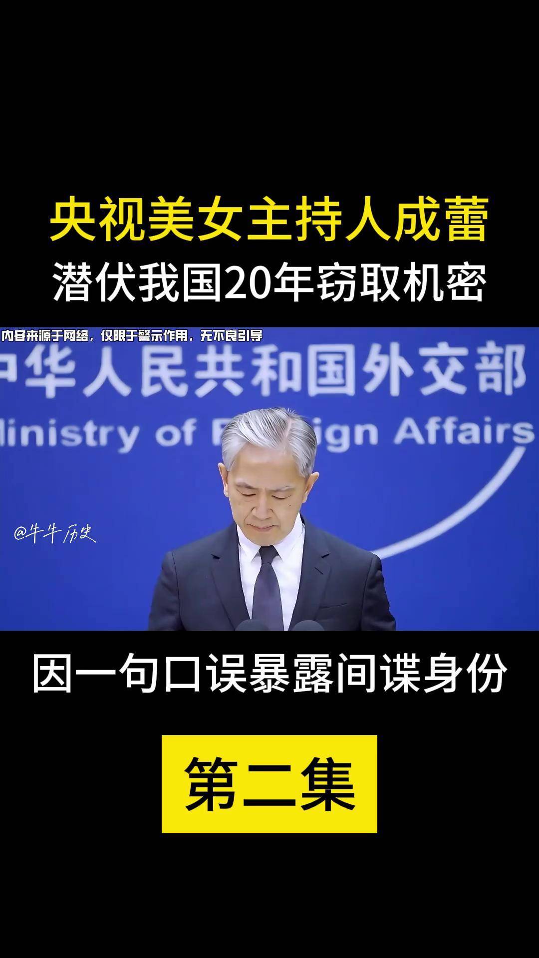 中央财经频道主持人间谍(中央电视台财经主持人成蕾)